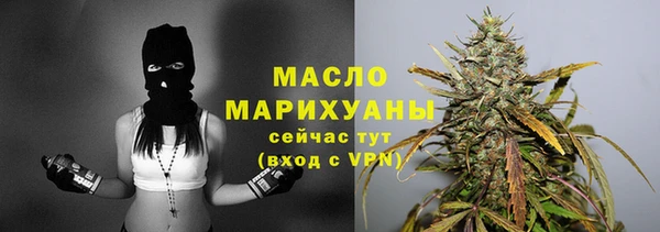 мдпв Гусев