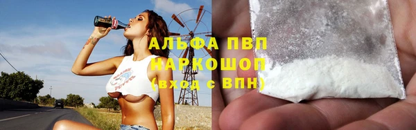 мдпв Гусев