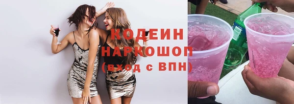 мдпв Гусев