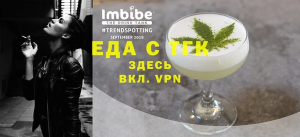мдпв Гусев