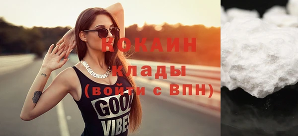 мдпв Гусев
