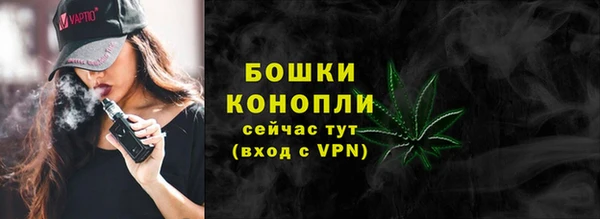 шишки Гусиноозёрск