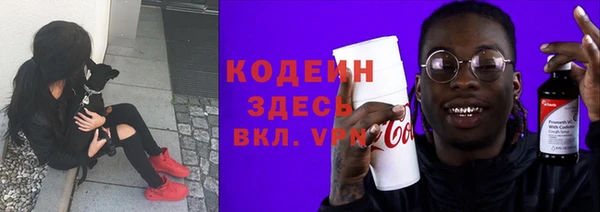 мяу мяу мука Дмитриев