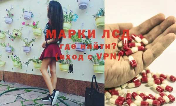 шишки Гусиноозёрск