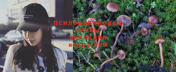 шишки Гусиноозёрск