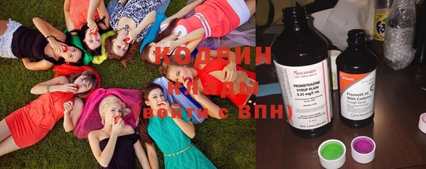 шишки Гусиноозёрск