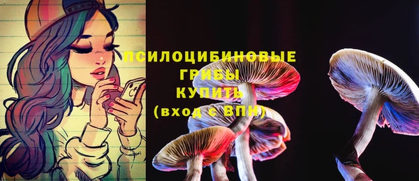 шишки Гусиноозёрск