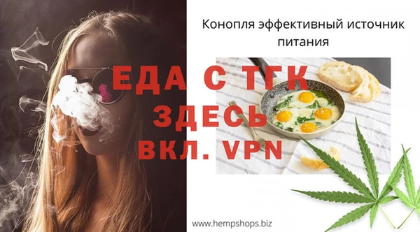 мдпв Гусев