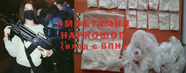 мдпв Гусев