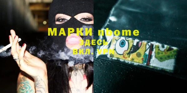мдпв Гусев
