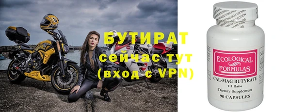 шишки Гусиноозёрск