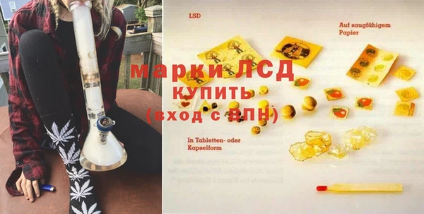 шишки Гусиноозёрск