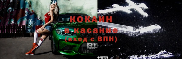 шишки Гусиноозёрск
