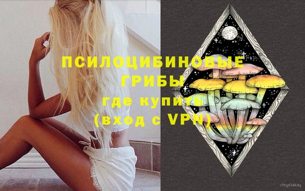 мяу мяу мука Дмитриев