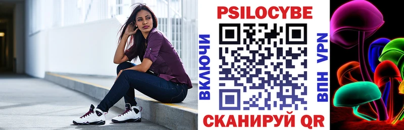 Купить  Кузнецк  Галлюциногенные грибы Psilocybe 